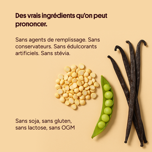 Choco Nutty Vanilla ice cream Iced Coffee Salted Caramel